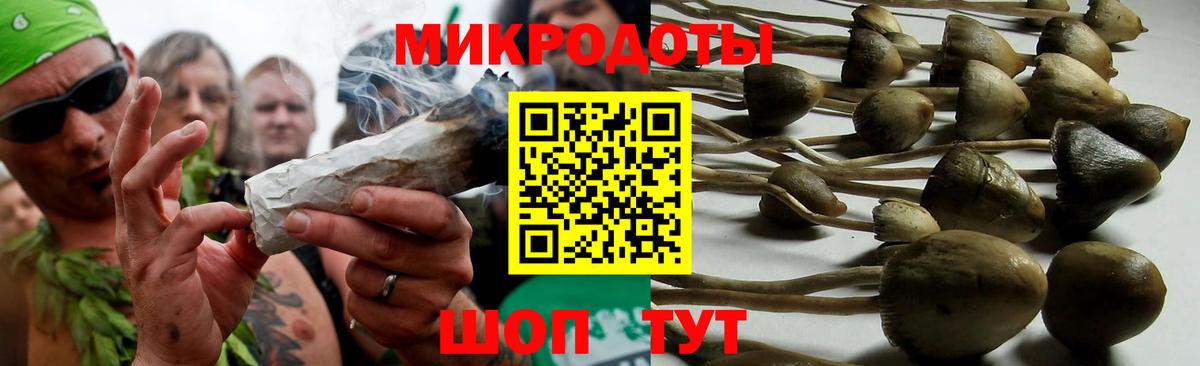 Галлюциногенные грибы MAGIC MUSHROOMS  купить наркотики цена  Новороссийск  Вход с VPN  Галлюциногенные грибы мицелий 