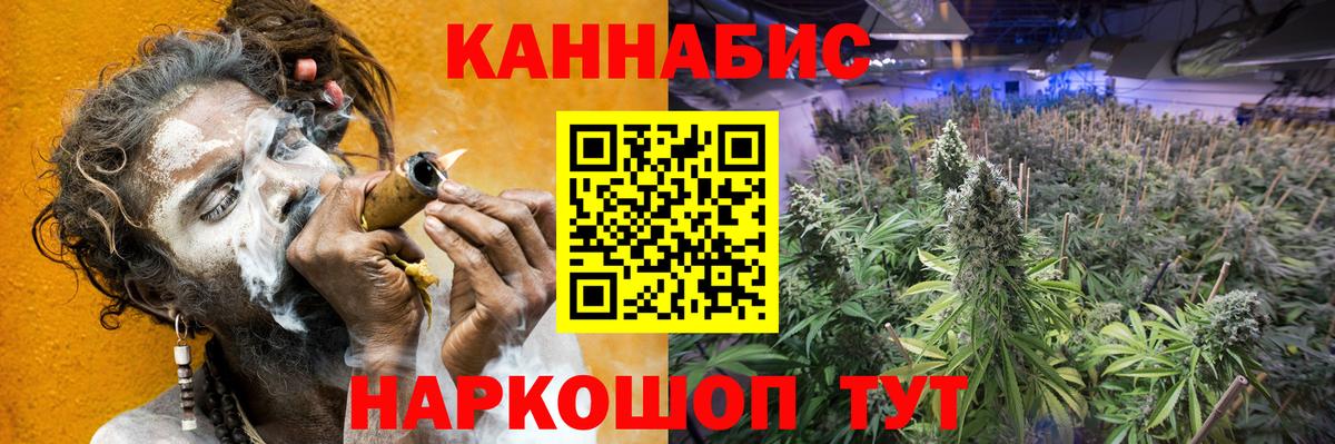 Шишки марихуана планчик Новороссийск